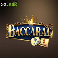5666 bet apk ব্যাকারেট C08